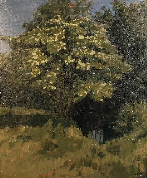 Elder Tree, Lawrence Self 